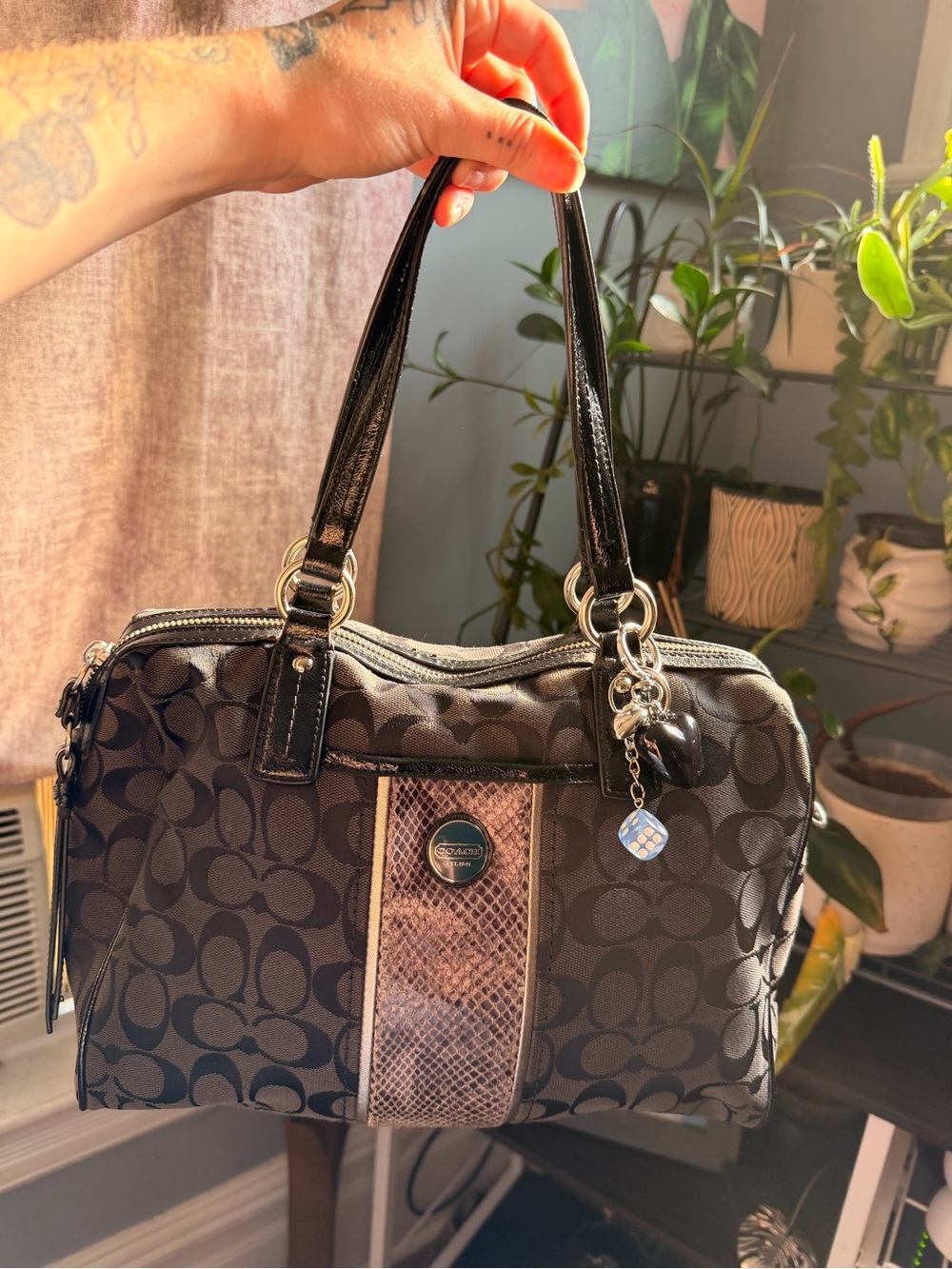 Coach Signature Stripe Python Satchel